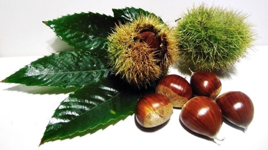 Magusto e III Feirinha Comunit&aacute;ria