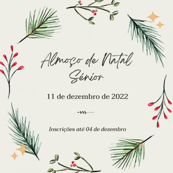 Almo&ccedil;o S&eacute;nio de Natal